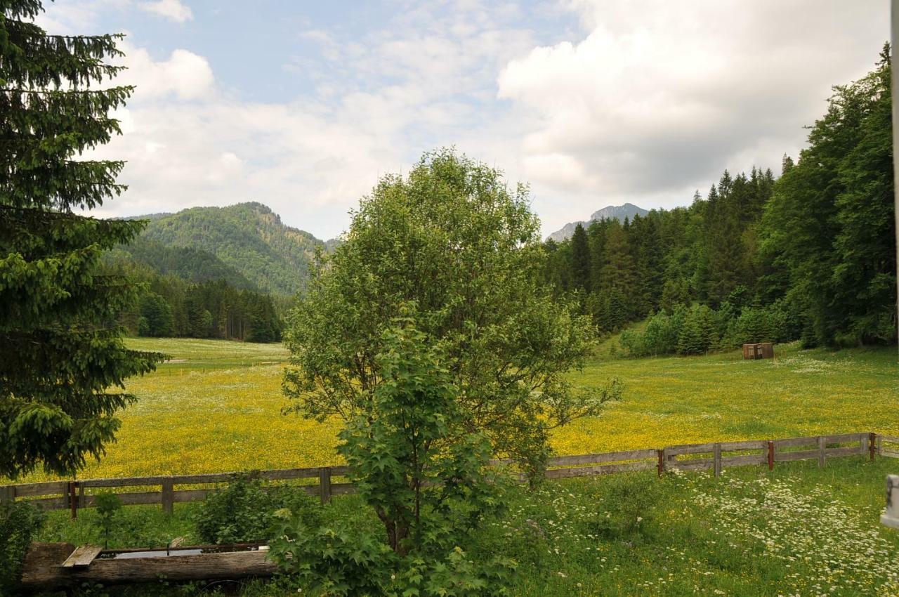 Gatterl Zum See Reit im Winkl Exterior foto