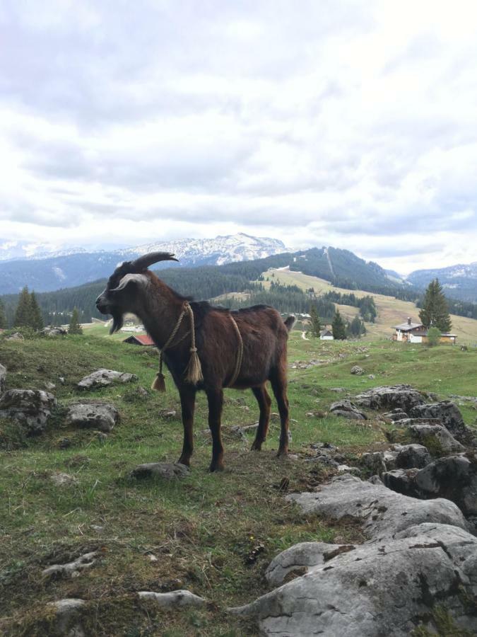 Gatterl Zum See Reit im Winkl Exterior foto