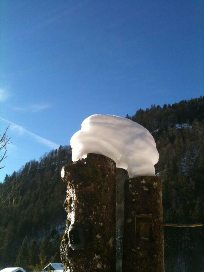 Gatterl Zum See Reit im Winkl Exterior foto
